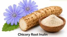 SlimLeaf Ingredient Chicory Inulin 